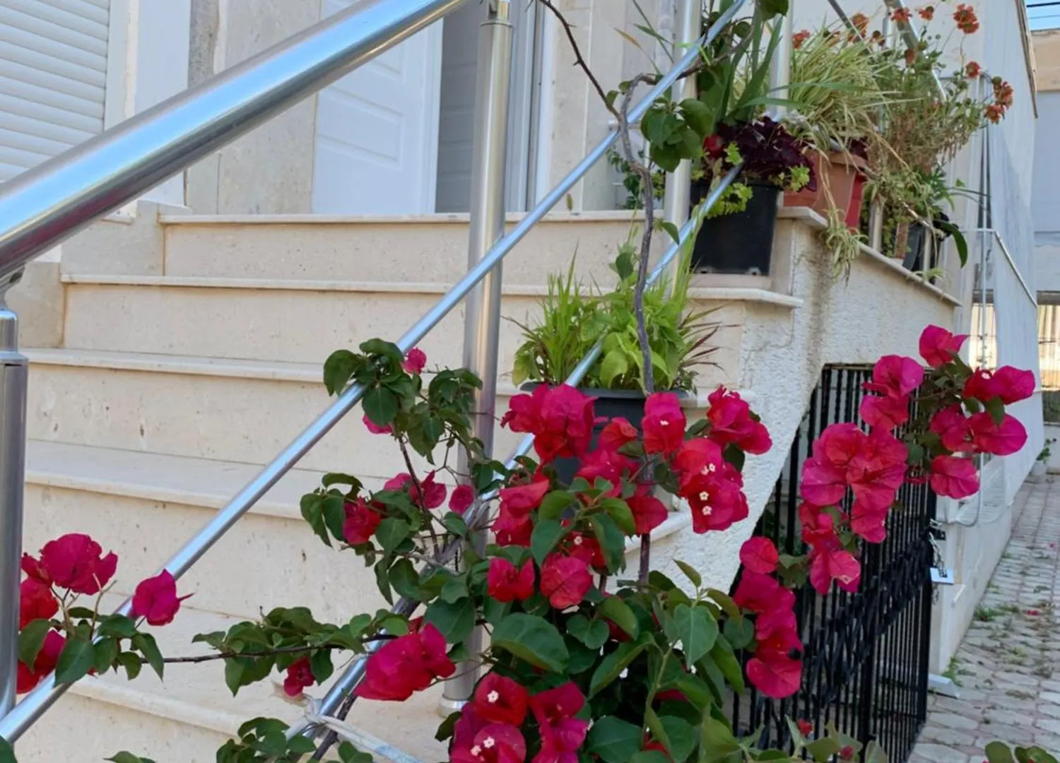 Elis Apartment Vlore